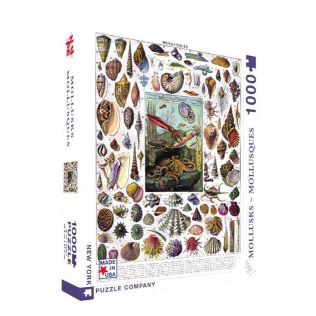 Mollusks 1000 Pieces Jigsaw Puzzle - The New Yorker Puzzle Company