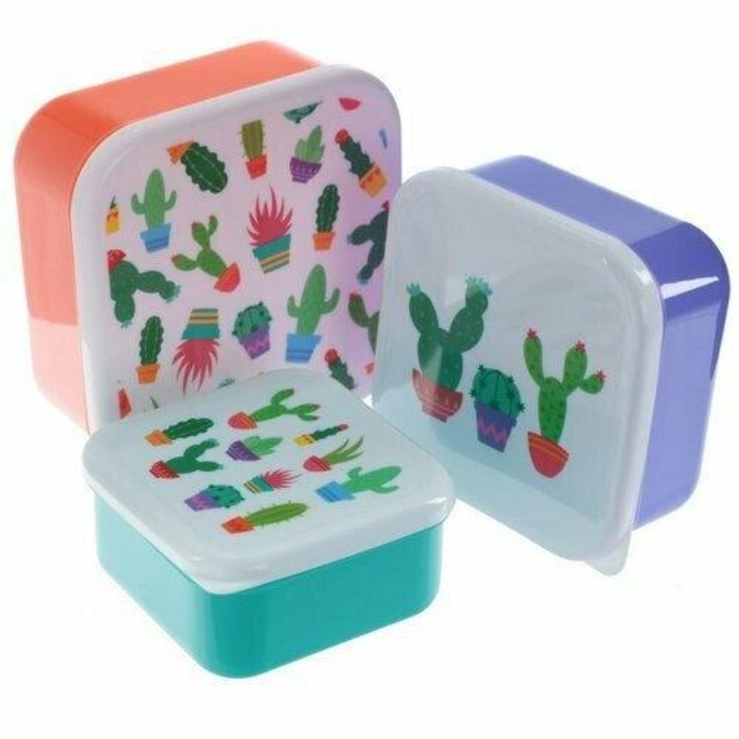 Fun Cactus Set of 3 Plastic Lunch Boxes