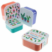 Load image into Gallery viewer, Fun Cactus Set of 3 Plastic Lunch Boxes

